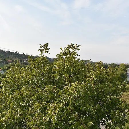 Fruskogorska Terasa *