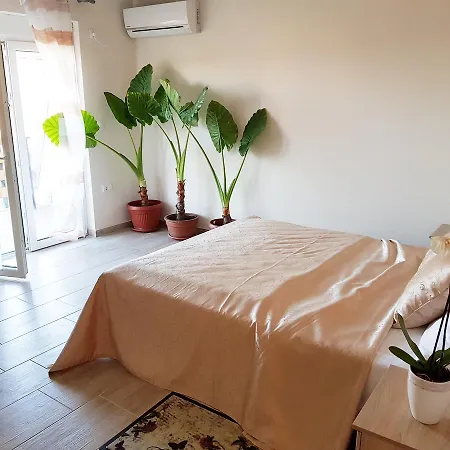 Fruskogorska Terasa Appartement