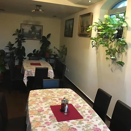 Fruskogorska Terasa Novi Sad