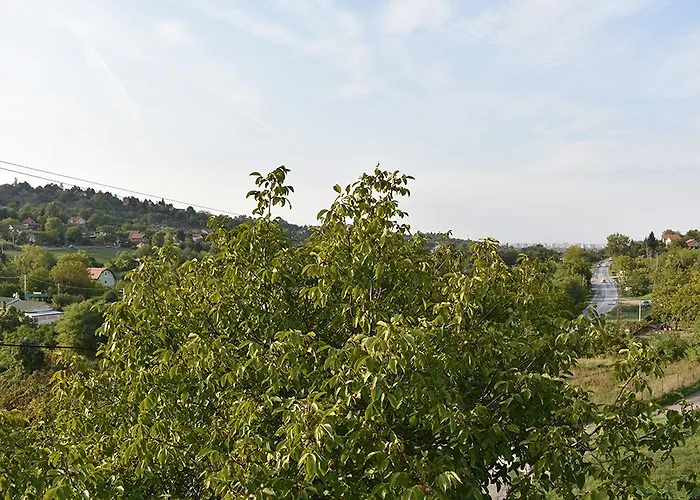 Fruskogorska Terasa *